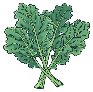 a kale plant